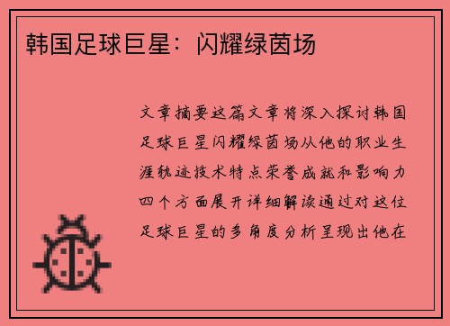 韩国足球巨星：闪耀绿茵场