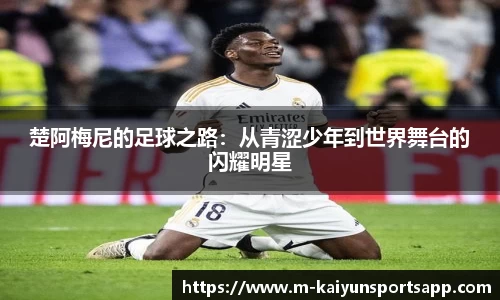 开云体育app